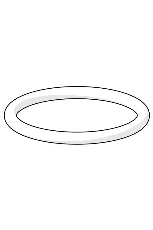 O-Ring in ovaler Form mit einem klaren Innenbereich, umrandet von einer glänzenden Linie, hergestellt von HANSA.